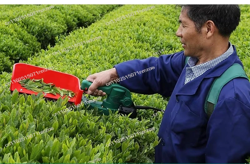 Rechargeable Green Hedge Tea Tree Pruning Machine Portable Electric Tea Picking Equipment