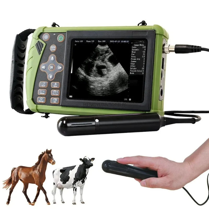 DAWEI Scanner Handheld Vet Machine for Horse Cattle Camel, 3.5MHz Rectal Probe