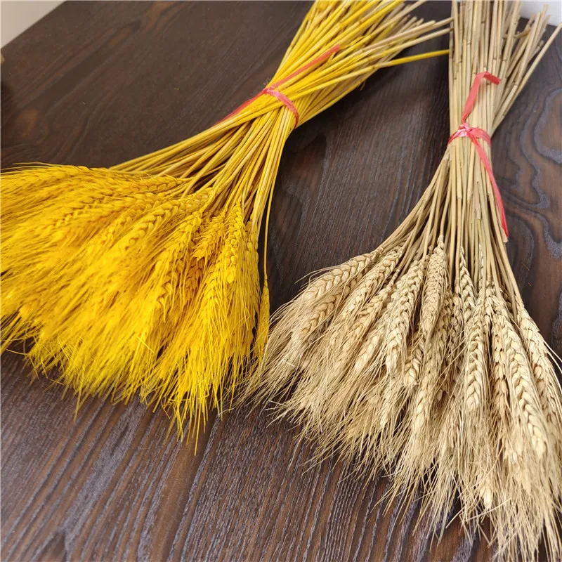 100Pcs Natural Dried Wheat Ears Bouquet Real Dried Flower Bouquet Wedding Party Flower Decoration Simulation Flower Party Decor