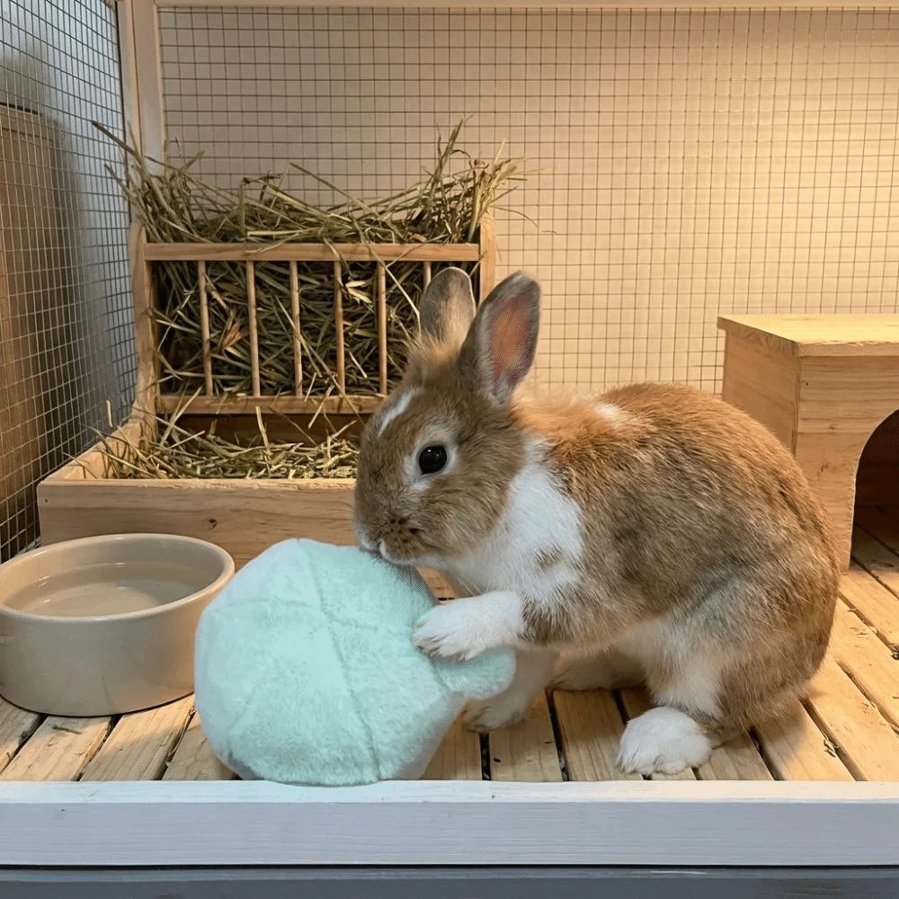 Bite Resistant Rabbit Soothing Ball Plush Soft Rabbit Calming Ball Comfortable Simulated Rabbit Buttocks Rabbit Soothing Toy