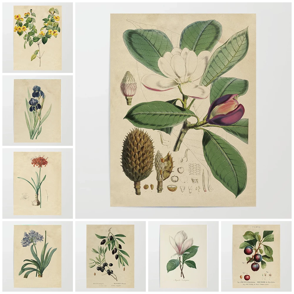 Retro Simple Plant Aesthetics Poster Antique Plants Flower Prints Canvas Painting Wall Art Pictures Bedroom Home Decoration