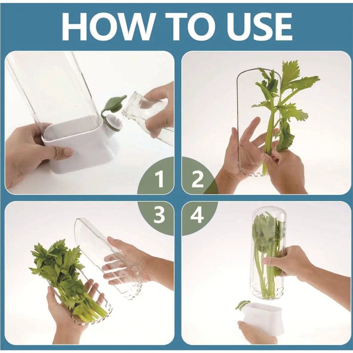 Herb and Vegetable Crisper,Anti-Pressure Eco-Friendly Crisper,Creative Home Cilantro Fresh Cup,Kitchen Accessories