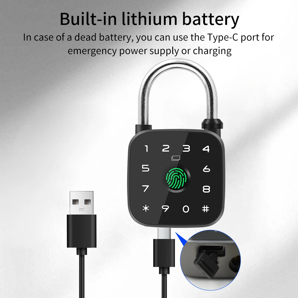 Intelligent Fingerprint Padlock Supports Tuya APP RFID Card Type-C Emergency Power Waterproof Outdoor Key Door Lock gallery 4