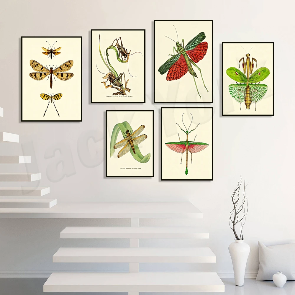 Retro dragonfly, locust, and cricket painting entomology canvas poster, biological science Scandinavian nature decoration