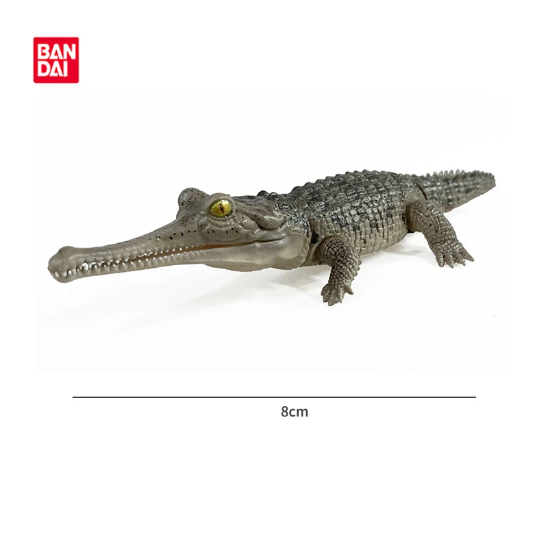 バンダイオリジナルおもちゃイケモノタイショウアドバンスクロコディラスニロティカスガリアルガチャガシャポンアニメアクションモデルフィギュアコレクション
