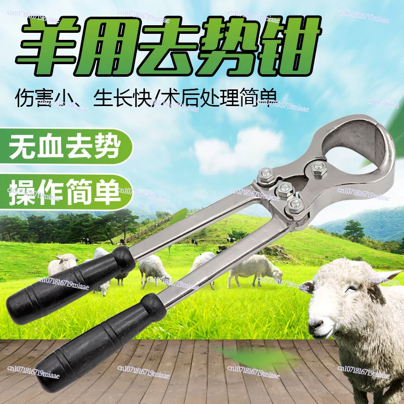 Stainless Steel Bloodless Castration Device Sheep Cattle Castration Pliers Veterinary Sheep