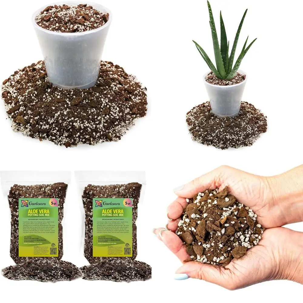 

Смесь грунта для растений с алоэ вера - 10 кварт (2 упаковки по 5 кварт)