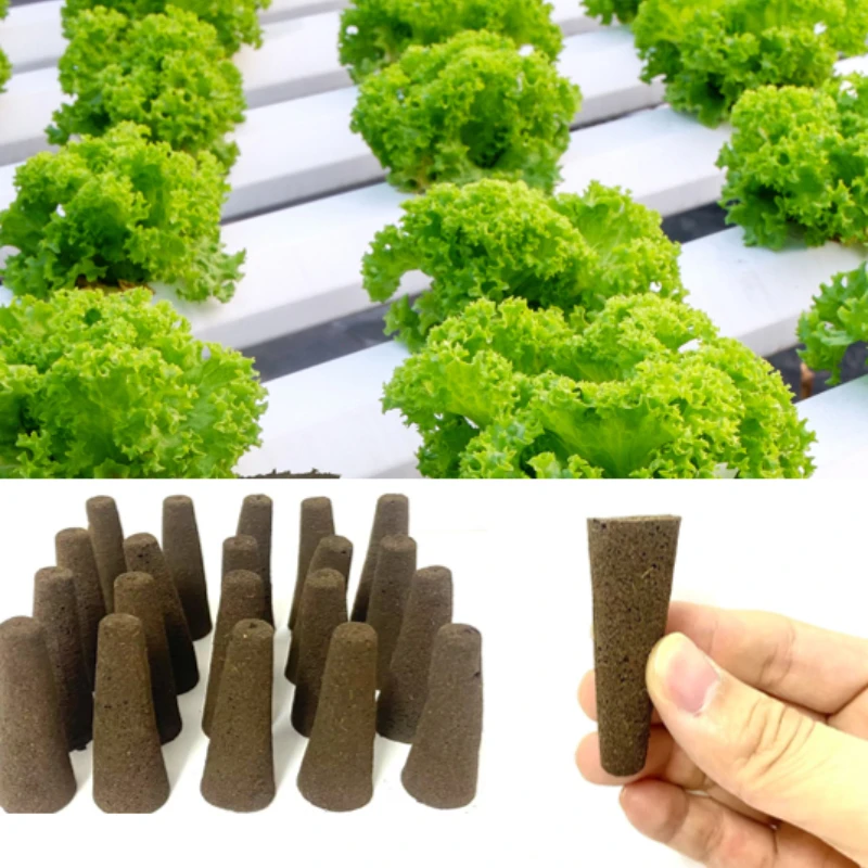 

10/20Pcs Seed Grow Sponges Replacement Root Growth Sponges Seedling Starter Plugs Seed Starting Seed Pod Garden Planting