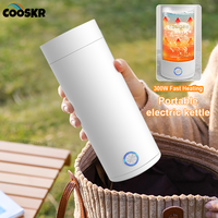 Electric kettle Portable Water Heater Kettle Mini Electric Tea Coffee Pot Water Thermal Cup Keep Warm Hot Water Bottle in Travel