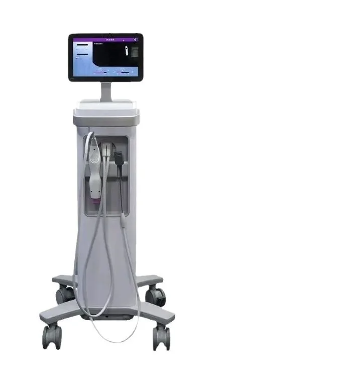 2026 Newest Therm Flx Non Invasive ABS Material Acne Scars Wrinkle Remover Anti-Wrinkle Machine Model DS-87