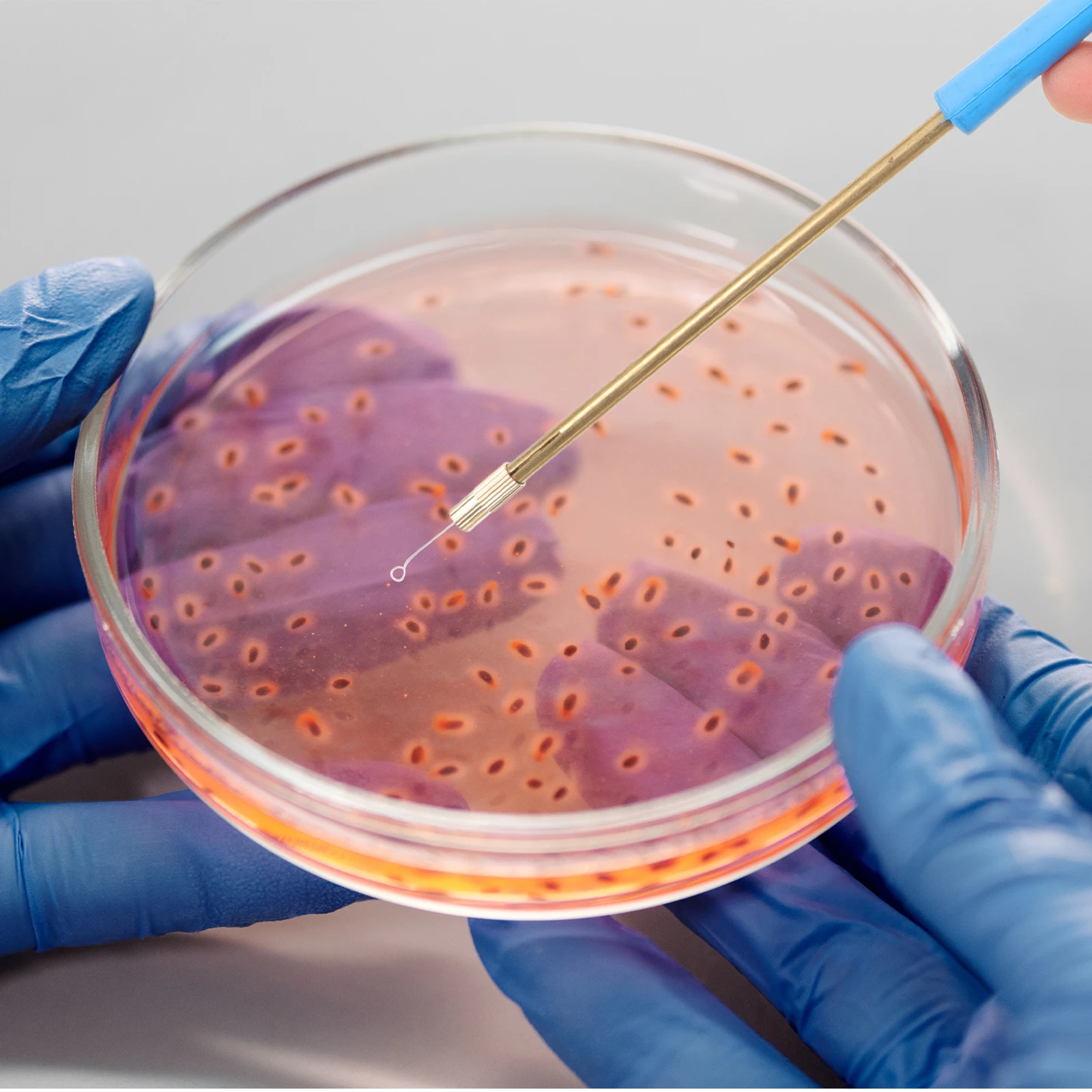 1 Set Microbiology Inoculation Rod Kit Copper Loops Lab Tools Reusable Lightweight Portable For Science Laboratory Classroom