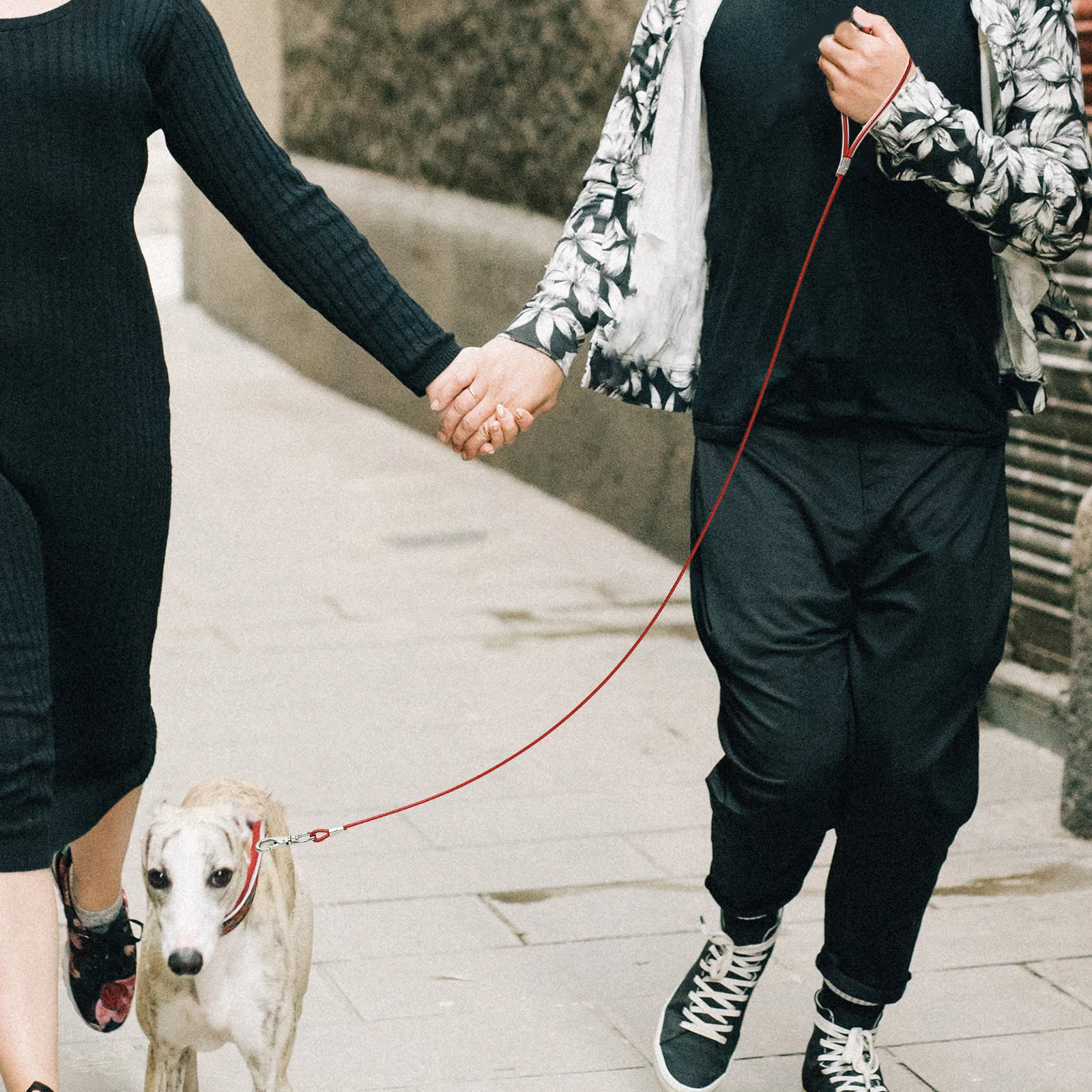 

Chew Proof Dog Leash 04x120cm Red Durable Steel Wire Puppy Traction Anti Bite Chain for Small Dogs Outdoor Wear Resistant Pet
