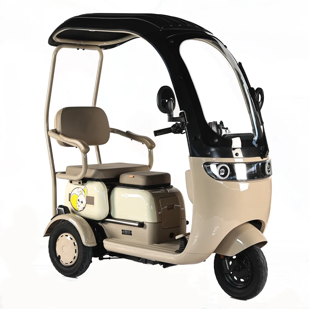 

Мощный 3-колесный электрический трицикл для взрослых, бытовой мини-скутер, сертифицированный для перевозки пассажиров