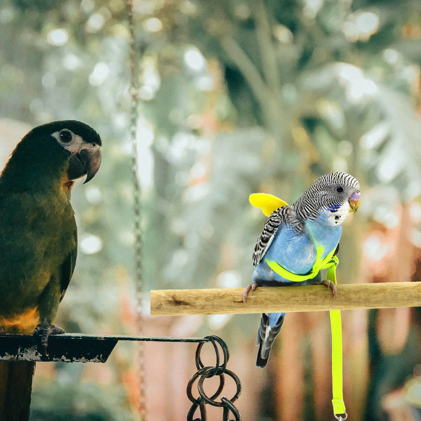 

1Pcs Bird Harness Leash 2 Meter Length 0.8cm Wide Nylon Webbing Pet Parrot Flying Rope Training Traction for Lovebird Budgie