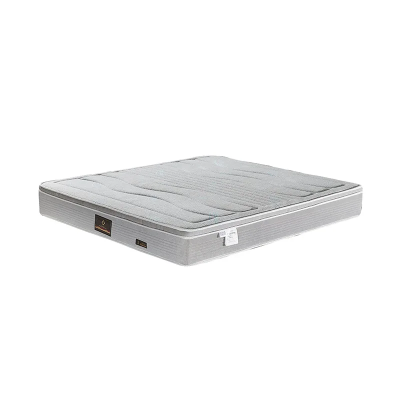 

Mattress Soft and Hard Moderate Coconut Palm Sponge Mat Home Silent Ridge Protection Hotel Bedroom