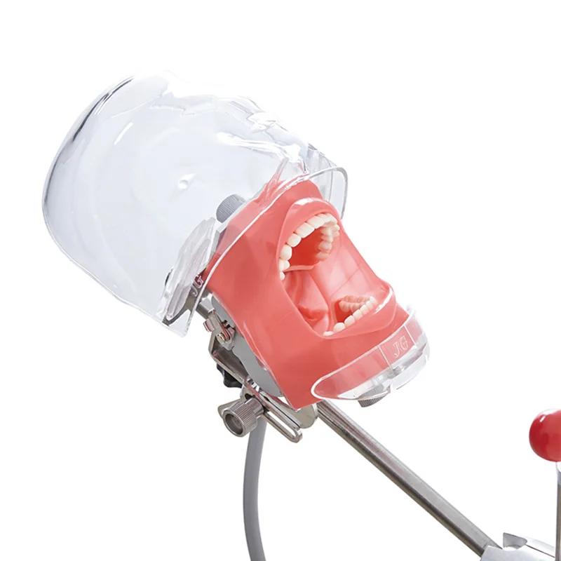 Dentistry Training Supply Unit Dental Torso Model Phantom Head Simulator