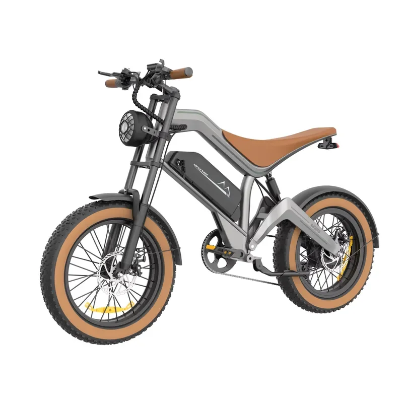 USA EU Stock M20 48V Steel Electric City Bike Lithium Battery Brushless Hub Motor High Speed Sport Style Tire Bike