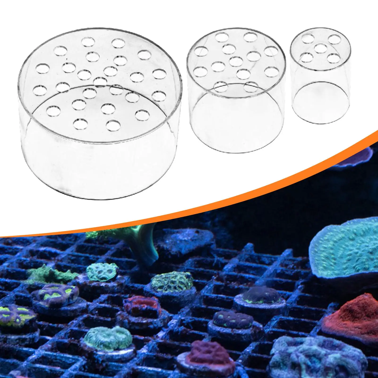 Capa multifuncional para alimentador de coral acrílico com design transparente, protetora