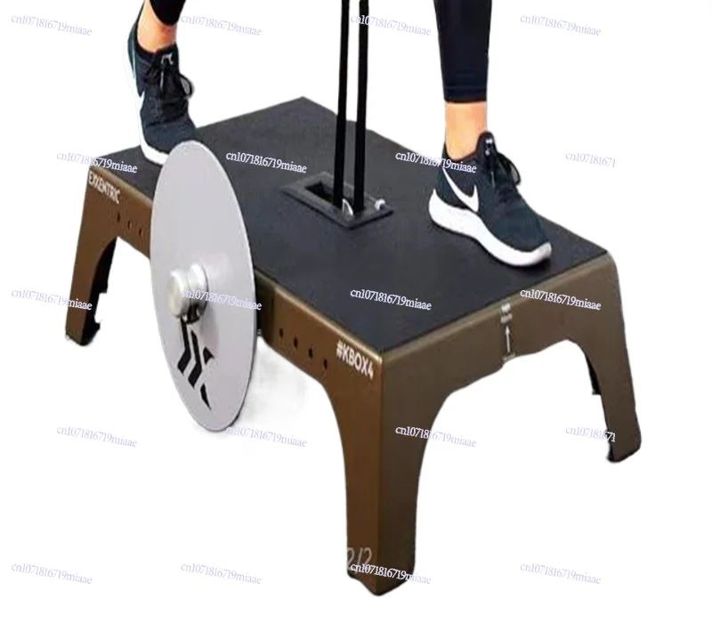 

New Commercial Centrifuge Squat Resistance Pull Flywheel Trainer