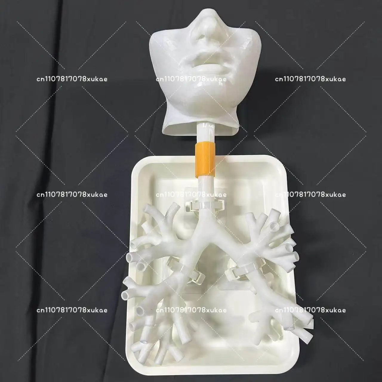 1:1 Bronchoscopy Training Model with Resin Bronchial Tree for Flexible Endoscopy Practice in Medical Education