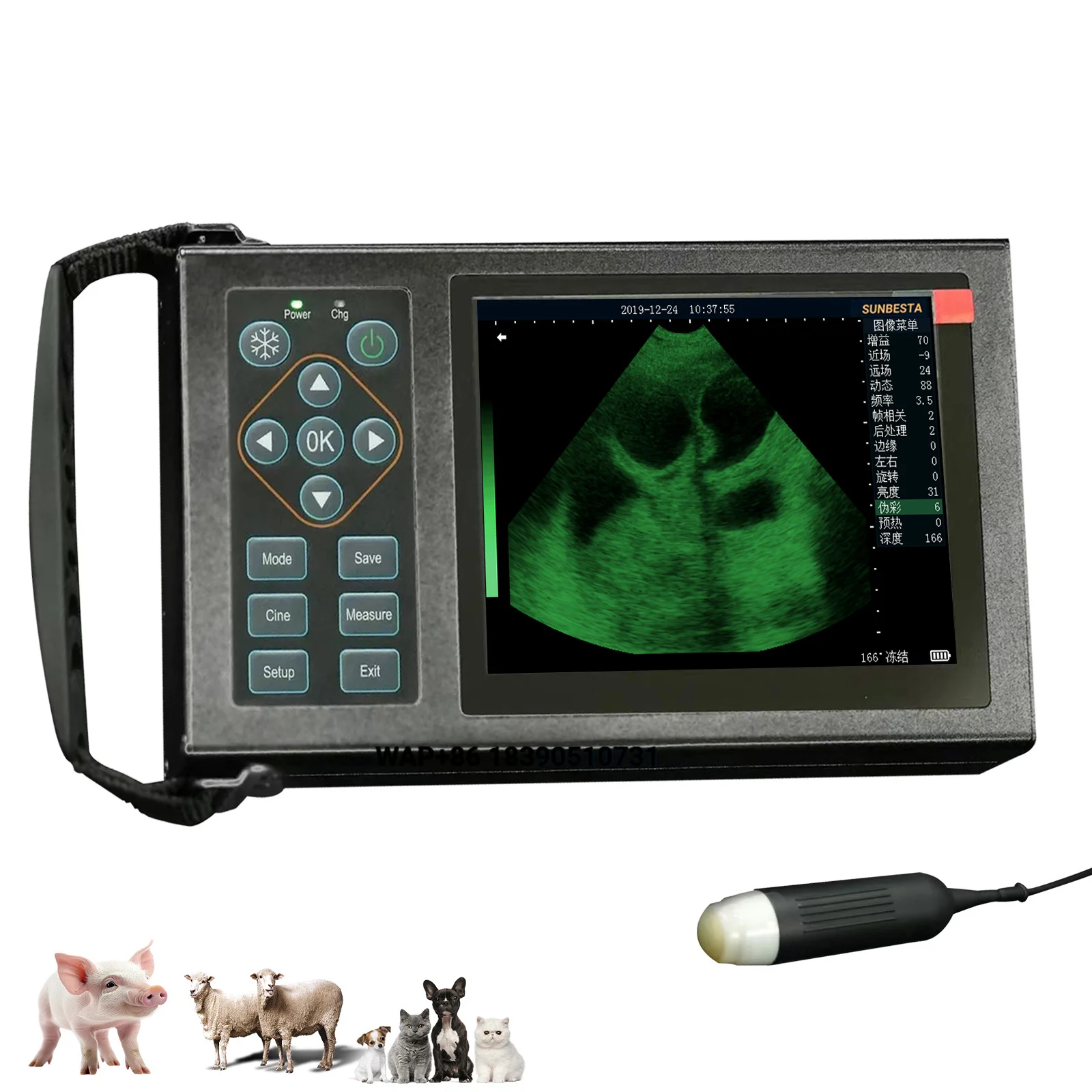 Ultrasound detectors for large dogs, pigs, and sheep for and disease detection