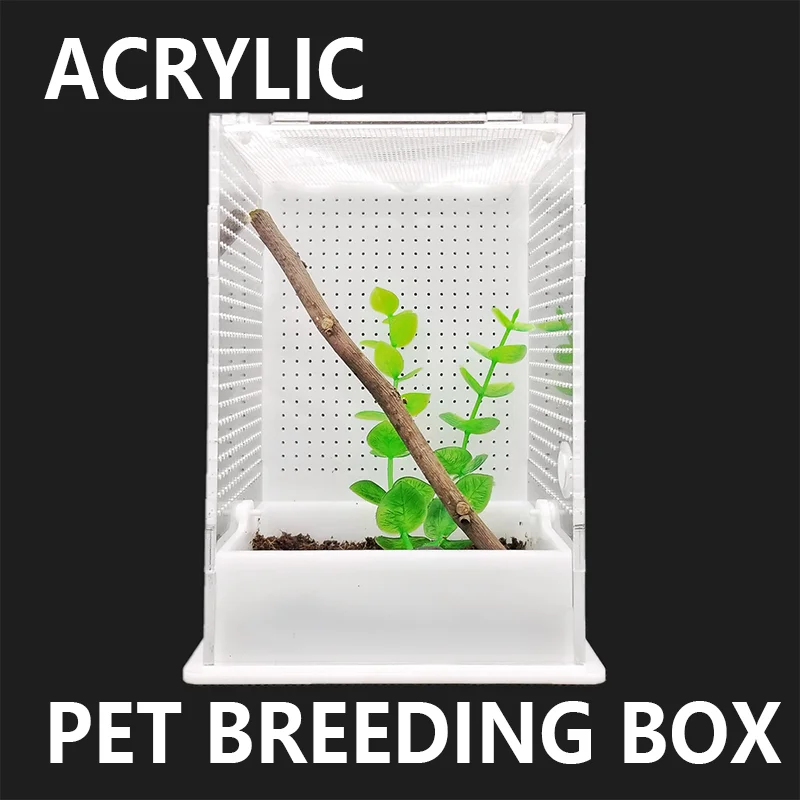 

Acrylic Feeding Box Reptile Supplies Transparent Insect Rearing Hatching Container Habitat Cage for Mantis Cricket Small Insects