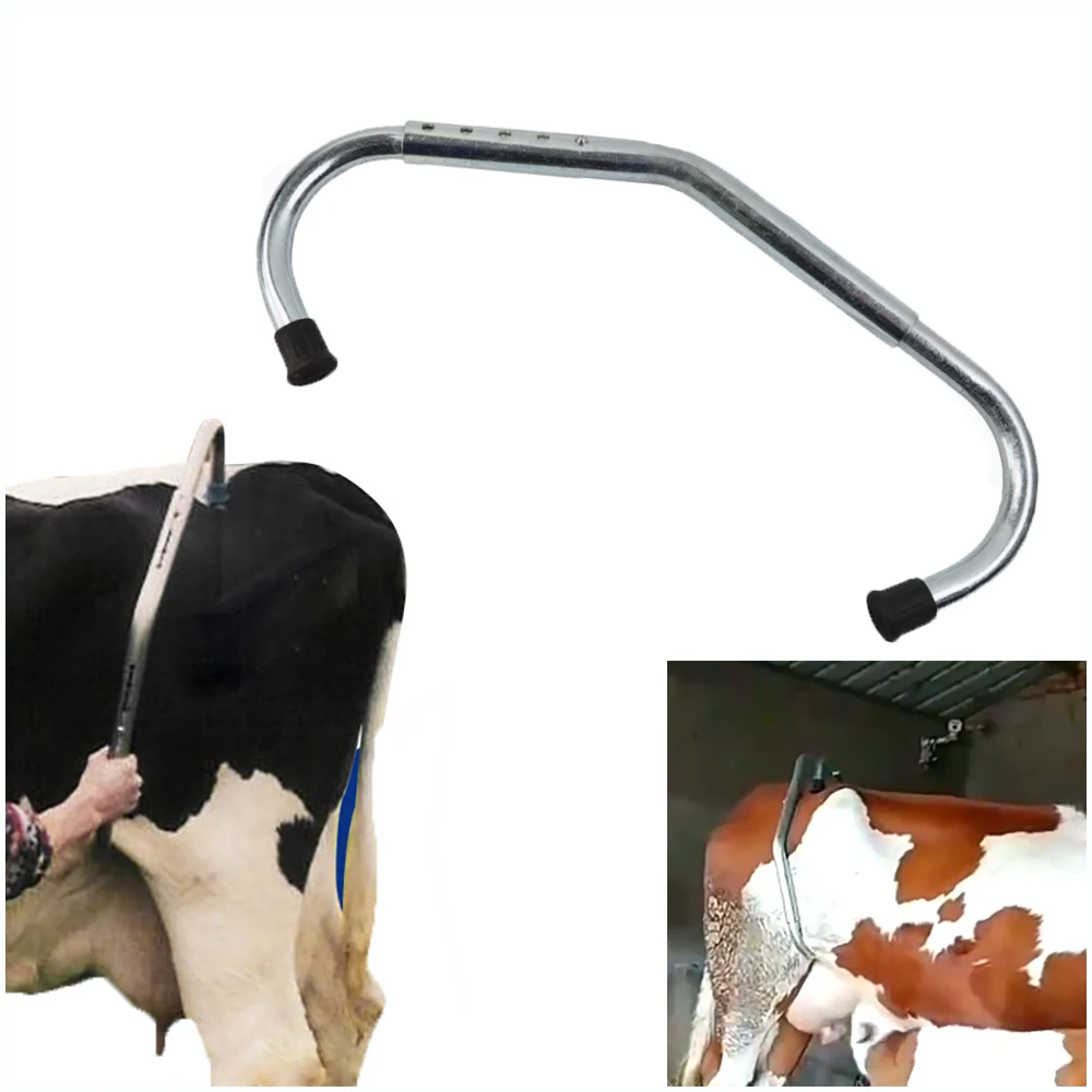 SS Anti Kick Bar Adjustable In Length Dairy farm Instruments for Cow Veterinary Field Instruments Cattle Stop Kicking Rods