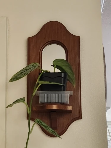Vintage Wooden Wall Shelves Retro Design Hanging Mirror Functional Storage for Candles & Plants Wall Rack for Cafe & Home Gifts photo review