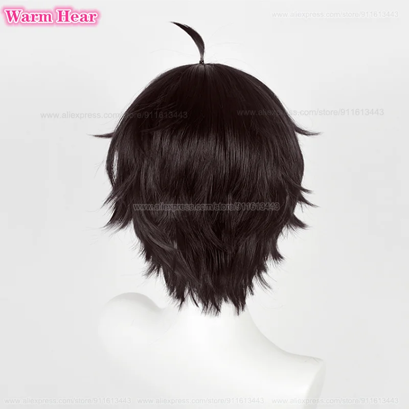 New! Game Wigs Dan Heng Cosplay Wig 30cm Black Brown Wig Heat Resistant Synthetic Hair Cosplay Anime Wigs + Wig Cap