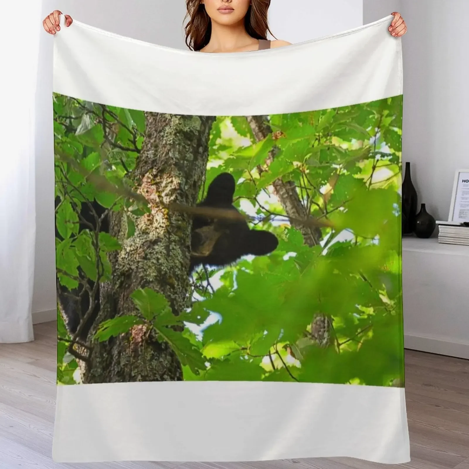 

New Peek A Boo Bear Throw Blanket Thin sofa bed Tourist Shaggy Blankets