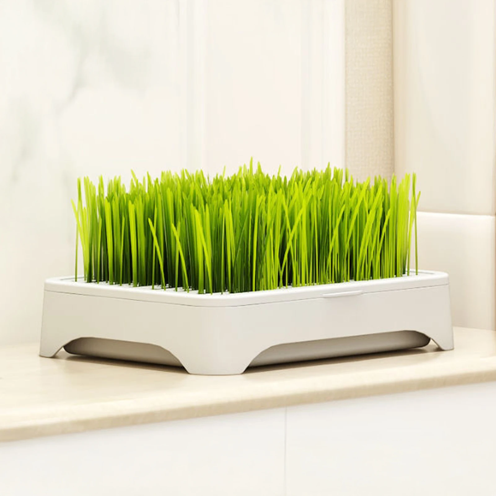 Indoor Pet Cat Grass Planter Box Complete Soilless Hydroponic Kit With Durable Plastic Container Fresh Wheatgrass