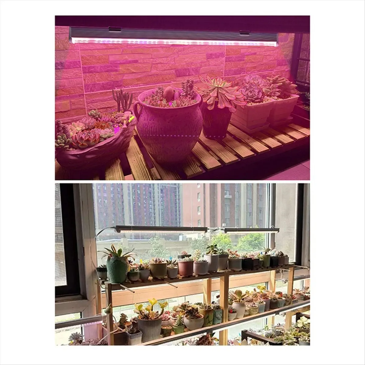 AA19 2Pcs LED Plant Growth Lamps Grow Lights for Indoor Plants 25W Plant Lights for Seed Starting Seedlings C EU Plug