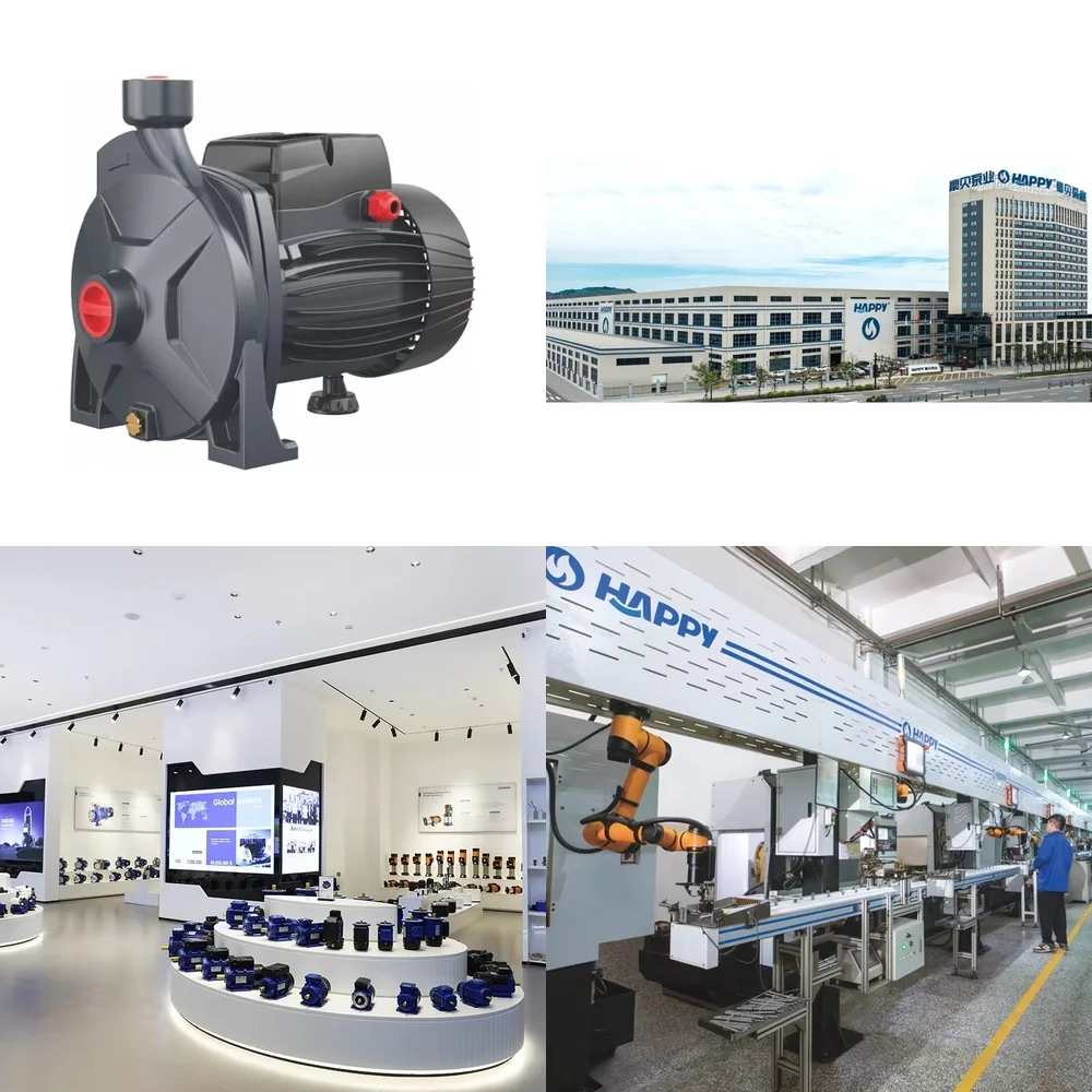High Quality Black Centrifugal Water Pump for Happy Brand Appliances Replacement Part for Home Garden Irrigation Systems