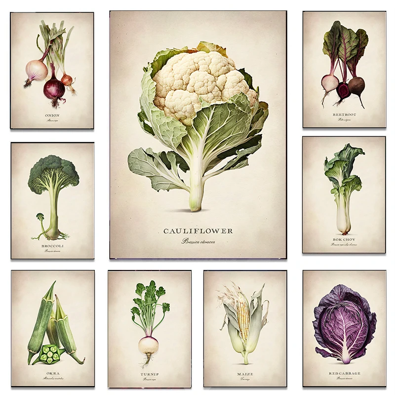 1pc frameless Vintage Vegetable Cauliflower Onion Broccoli Peas Poster and Prints Canvas Painting Wall Art Picture for Kitchen H