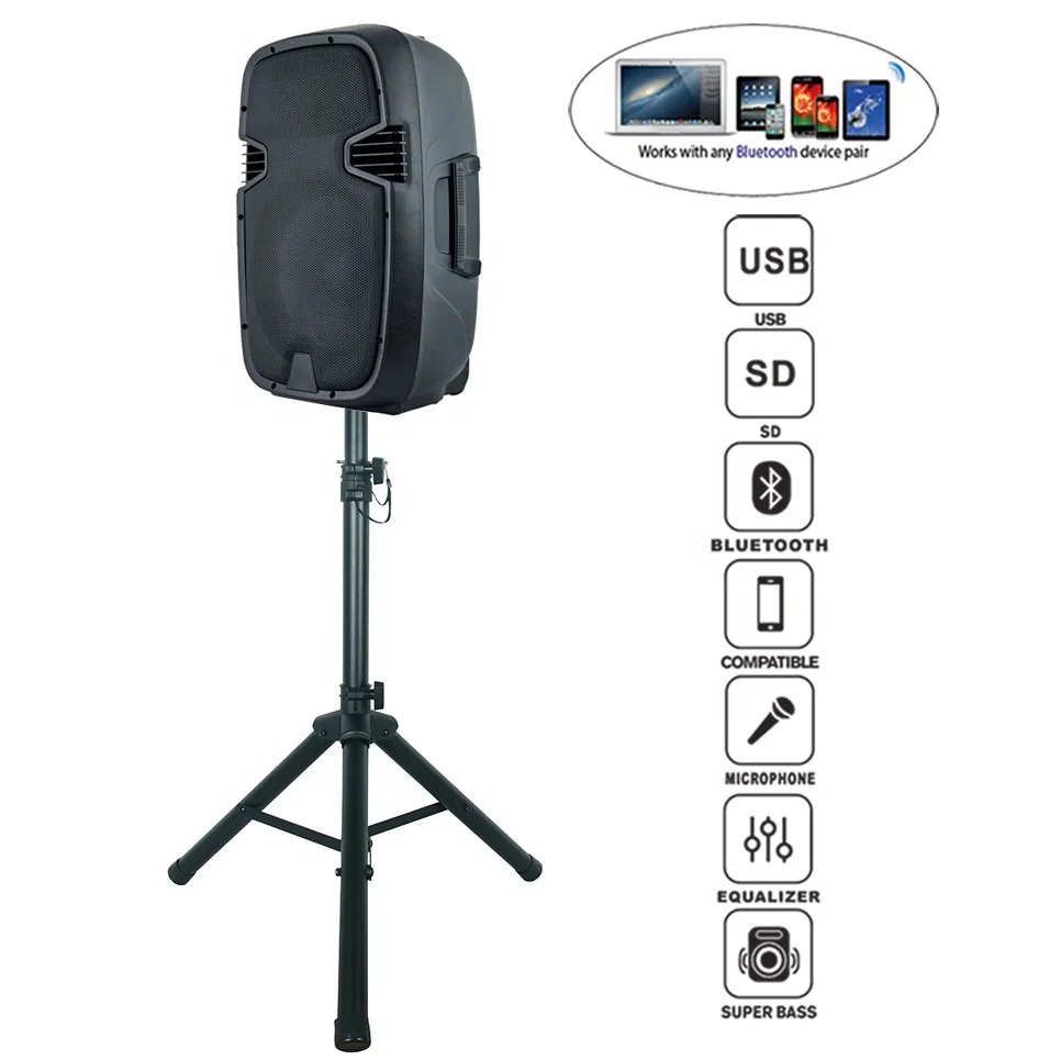 Luidsprekers Draagbare Professionele Audio Speaker 10 "300W Karaoke Dj Soundbox Sets TWS-USB Sd Reader-Echo-Mic-Rc Bocina Parlant