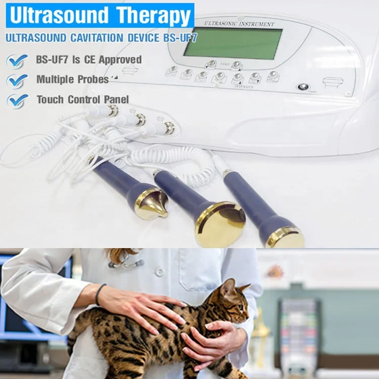 Veterinary applications Therapeutic Ultrasound machine