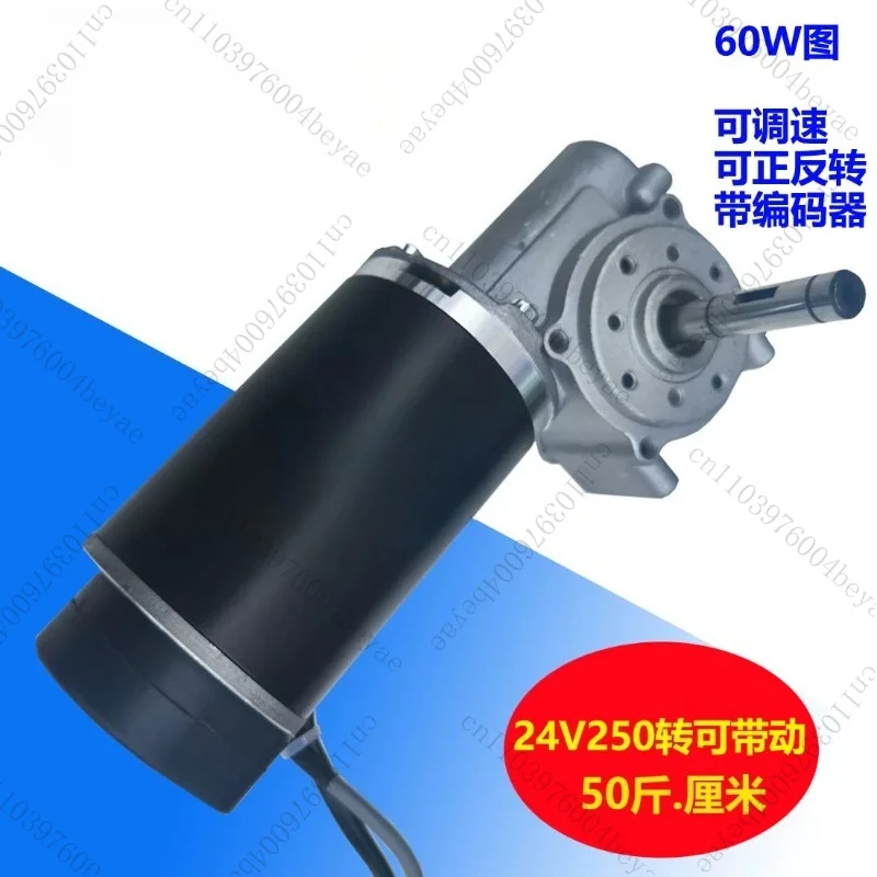 DC24V 60W/100W Hall Encoder Motor with Worm Gear for Automatic Hotel Door Systems