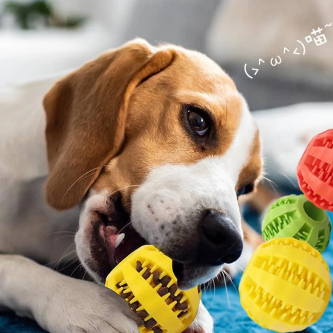 

Dog Toy Ball Interactive Rubber Balls Puppy Chewing Toys Pet Tooth Cleaning Ball Cats Pets Food Treat Feeder Silicone Balls Toy