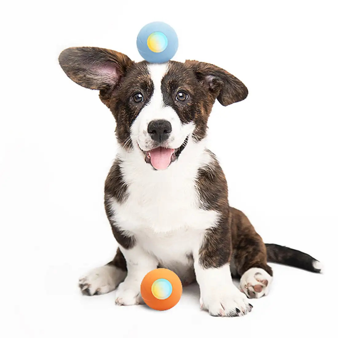 

CHEERBLE Wholesale Wicked Ball SE Smart Interactive Dog Toy Reliable on Recharging Small Breeds for Dog Ball Great Gift Idea!