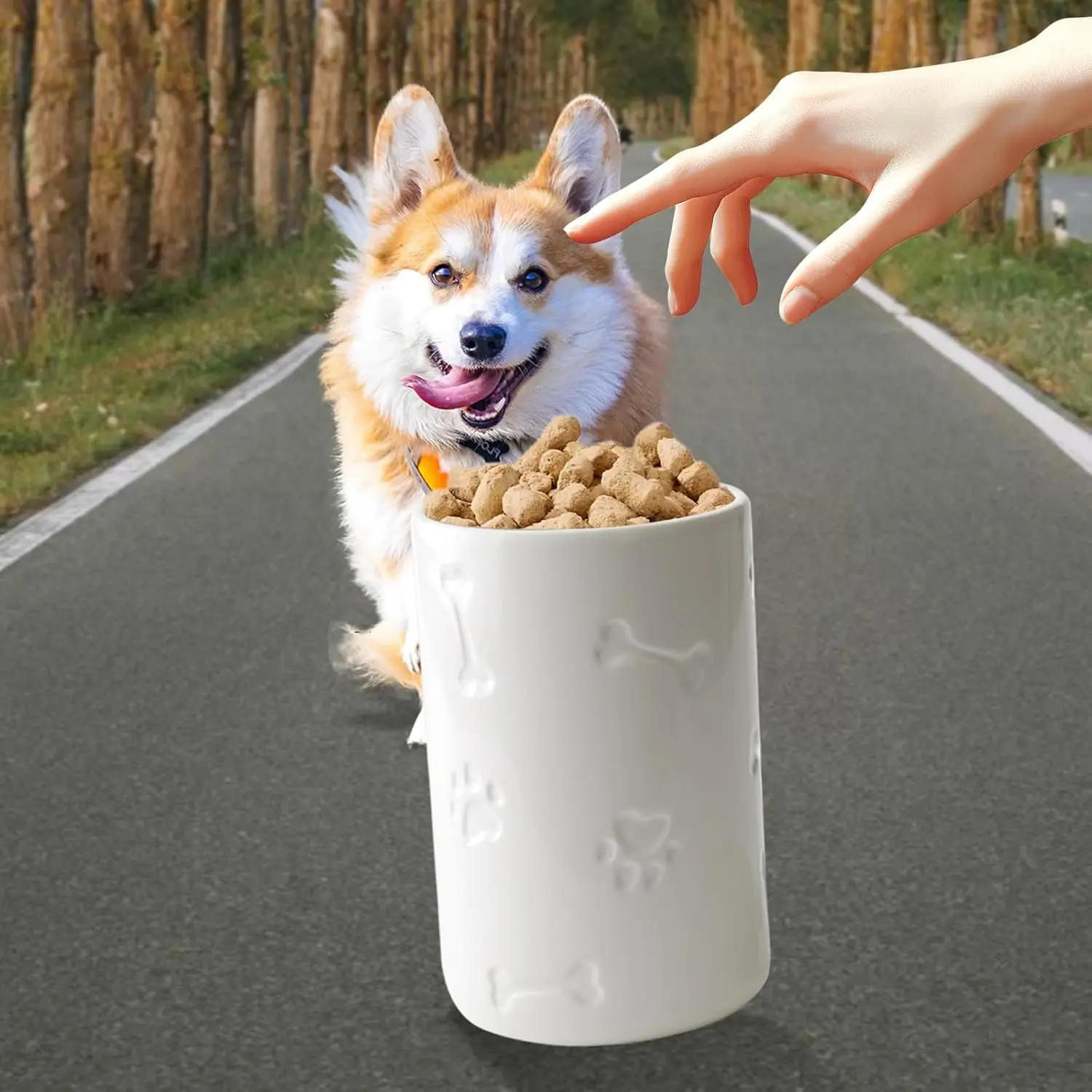برطمان حلوى للكلاب من السيراميك محكم الغلق مقاس 9 × 5 بوصة، لتخزين أغذية الحيوانات الأليفة باللون الأبيض مع غطاء - طراز المزرعة