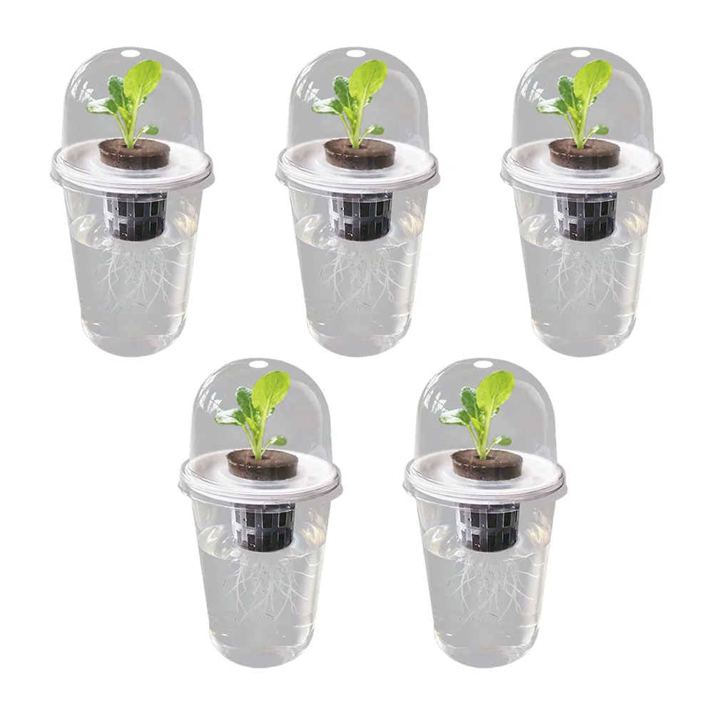 5 Set Soilless Growing Kit for For vegetables Succulents and Garlic Plastic Transparent Cups for Easy Cultivation
