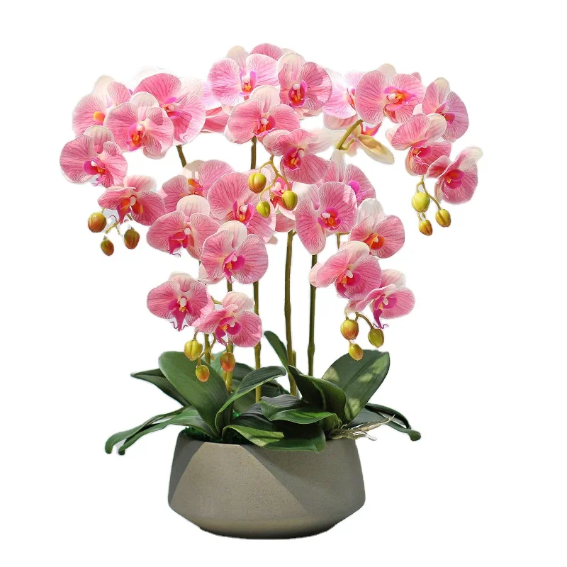 

Customizable Color Faux Phalaenopsis Orchid Plants Artificial Flowers Real Touch Decorative Artificial Flowers