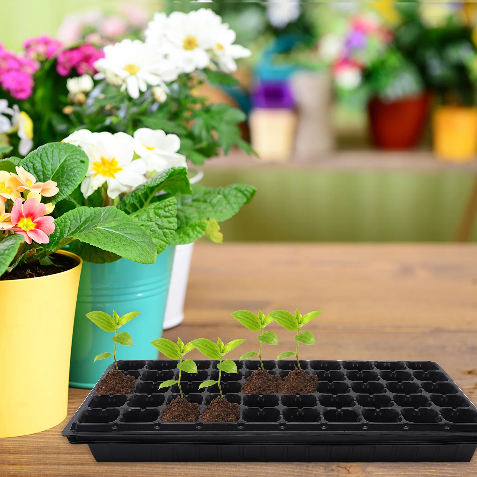 

4pcs Seedling Trays Germination Tray For Indoor Outdoor Gardening Plant Starter Growing Kit Nursery Propagator Greenhouse