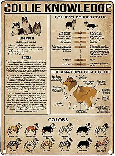 Scottish Terrier Knowledge Art Wall Decor Retro Metal Tin Signs Anatomy Of A Scottish Terrier Printed Poster Pet Shop Bar School