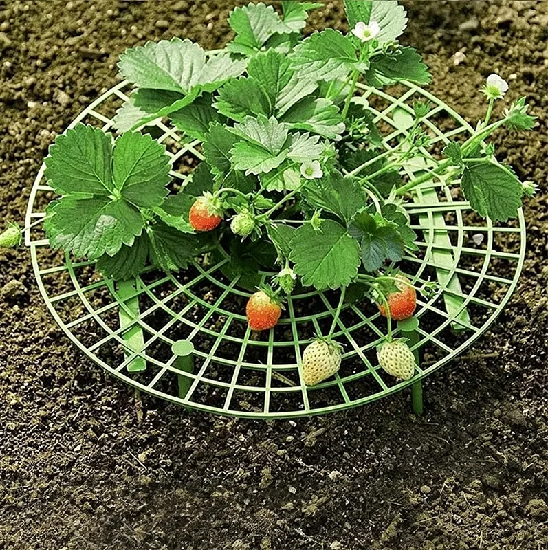 6PCS Strawberry Plant Support Stand - Anti-Lodging Gardening Bracket, Durable Flower Pot Holder for Outdoor Plants
