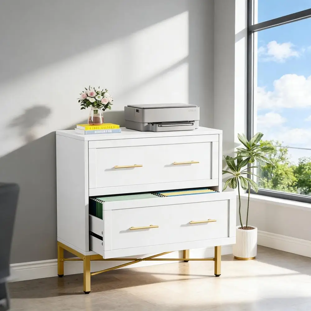 Office File Cabinet,2-Drawer File Cabinet,Sleek Design Storage Cabinet