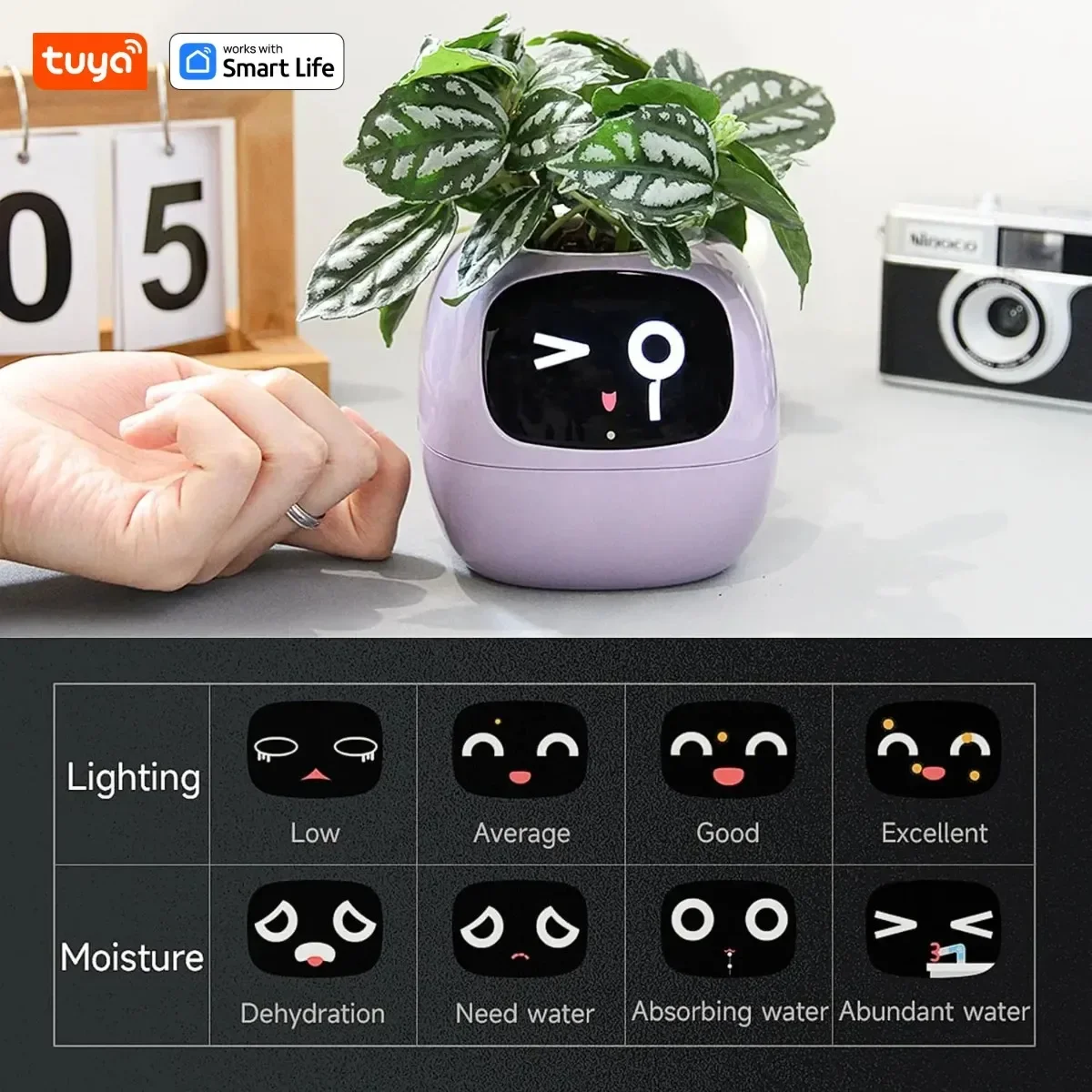 Tuya Ivy Smart Planter,ความสนุกไม่รู้จบกว่า 49 Expression ที่หลากหลาย,เซ็นเซอร์อัจฉริยะ 7 ตัว,ชิป AI ทําให้การเลี้ยงพืชได้ง่ายและสนุกสนาน