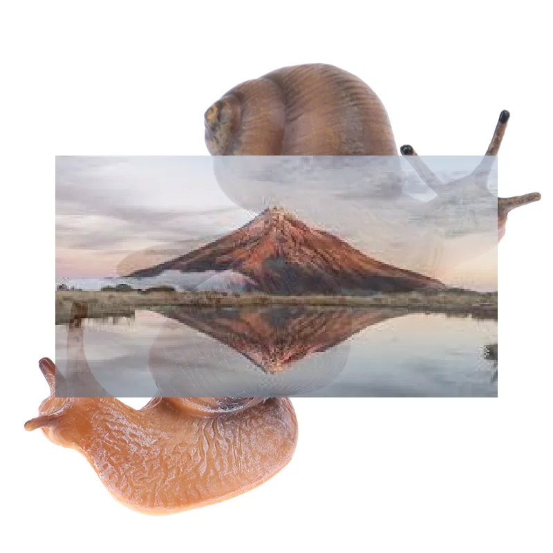 Vp 1Pc New Simulati…