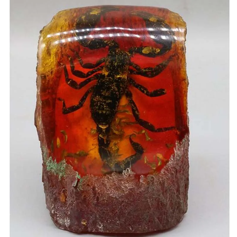 

Imitation Amber beeswax scorpion specimen crafts statue