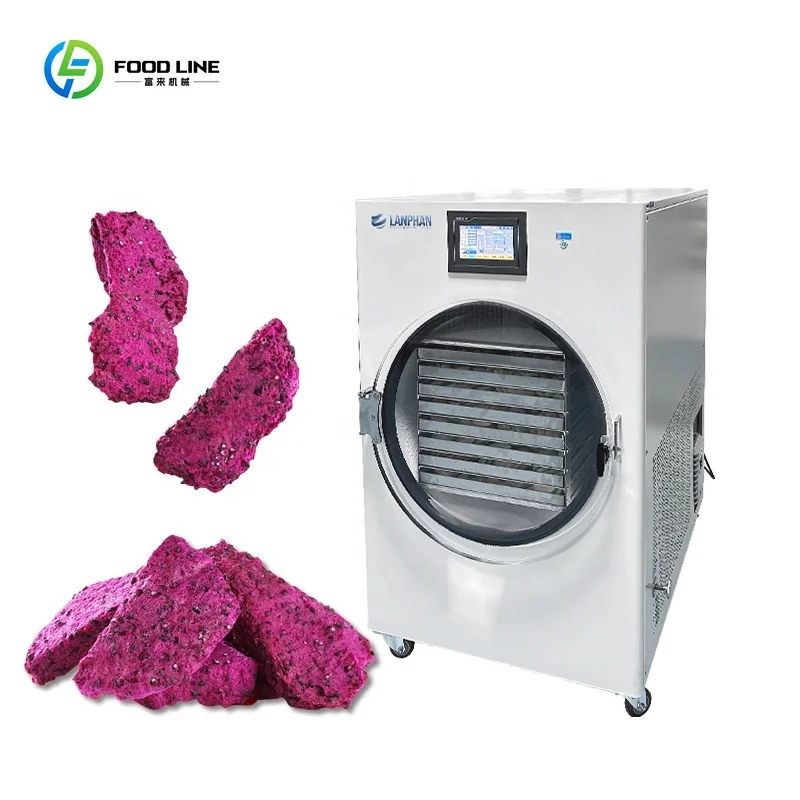 Commercial Laboratory HFD-30  8 Trays 40KG 45KG Large Vacuum Freeze Dryer Lyophilizer Freeze Drying Equipment 380V